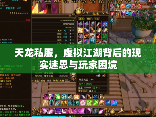 天龙私服，虚拟江湖背后的现实迷思与玩家困境
