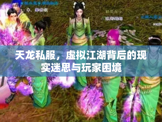 天龙私服，虚拟江湖背后的现实迷思与玩家困境