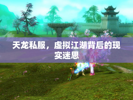 天龙私服，虚拟江湖背后的现实迷思