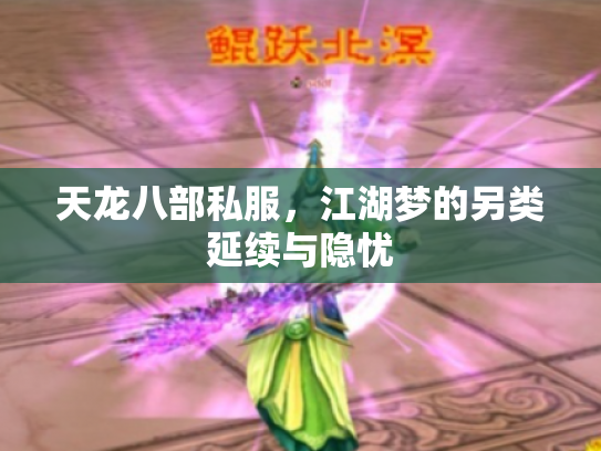 天龙八部私服，江湖梦的另类延续与隐忧