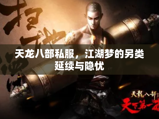 天龙八部私服，江湖梦的另类延续与隐忧