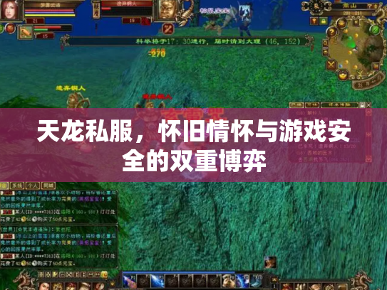 天龙私服，怀旧情怀与游戏安全的双重博弈