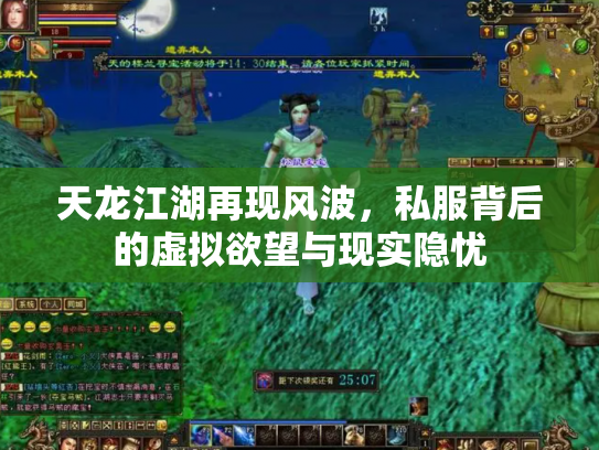 天龙江湖再现风波，私服背后的虚拟欲望与现实隐忧