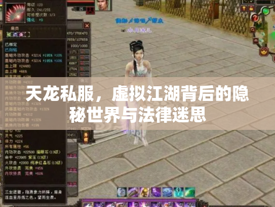 天龙私服，虚拟江湖背后的隐秘世界与法律迷思