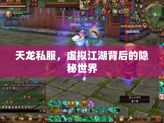 天龙私服，虚拟江湖背后的隐秘世界