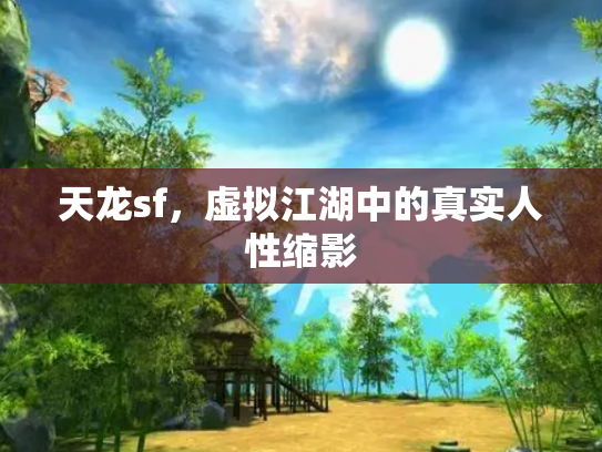 天龙sf，虚拟江湖中的真实人性缩影