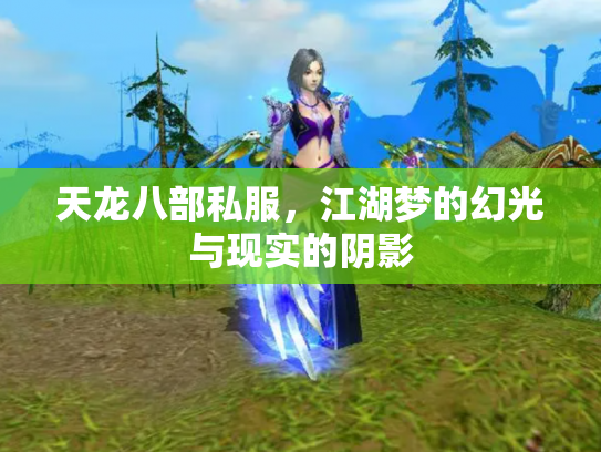 天龙八部私服，江湖梦的幻光与现实的阴影