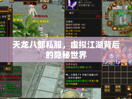 天龙八部私服，虚拟江湖背后的隐秘世界