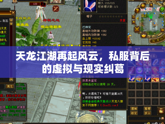 天龙江湖再起风云，私服背后的虚拟与现实纠葛