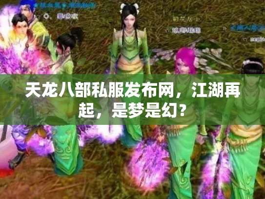 天龙八部私服发布网，江湖再起，是梦是幻？