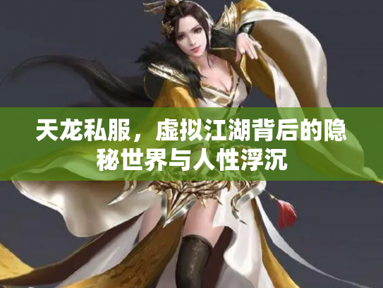 天龙私服，虚拟江湖背后的隐秘世界与人性浮沉
