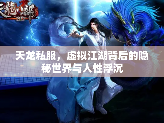 天龙私服，虚拟江湖背后的隐秘世界与人性浮沉