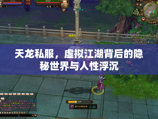 天龙私服，虚拟江湖背后的隐秘世界与人性浮沉