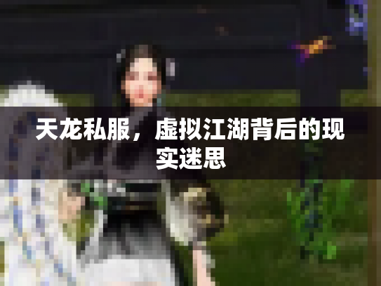 天龙私服，虚拟江湖背后的现实迷思