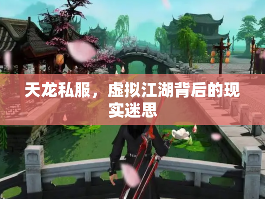 天龙私服，虚拟江湖背后的现实迷思