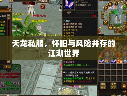天龙私服，怀旧与风险并存的江湖世界