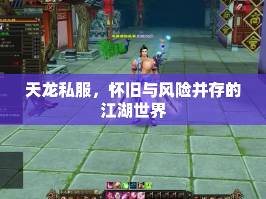 天龙私服，怀旧与风险并存的江湖世界