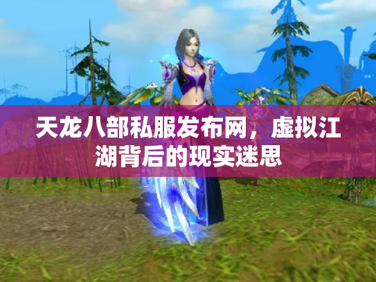 天龙八部私服发布网，虚拟江湖背后的现实迷思