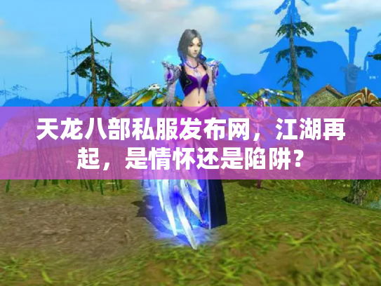 天龙八部私服发布网，江湖再起，是情怀还是陷阱？
