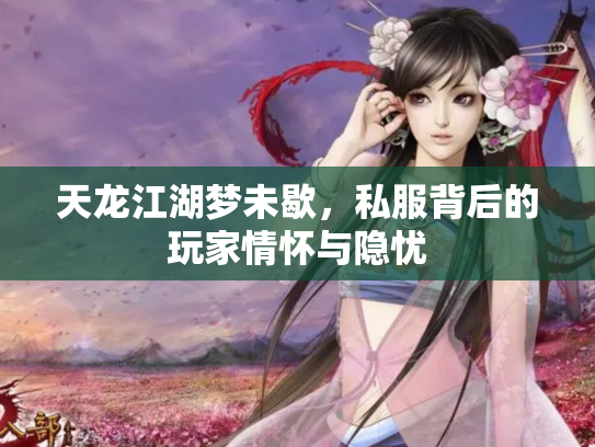 天龙江湖梦未歇，私服背后的玩家情怀与隐忧