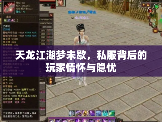 天龙江湖梦未歇，私服背后的玩家情怀与隐忧
