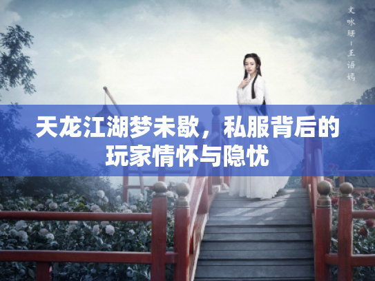 天龙江湖梦未歇，私服背后的玩家情怀与隐忧