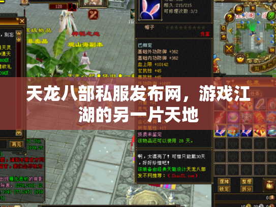 天龙八部私服发布网，游戏江湖的另一片天地