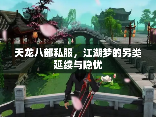 天龙八部私服，江湖梦的另类延续与隐忧