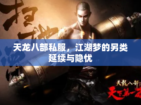 天龙八部私服，江湖梦的另类延续与隐忧