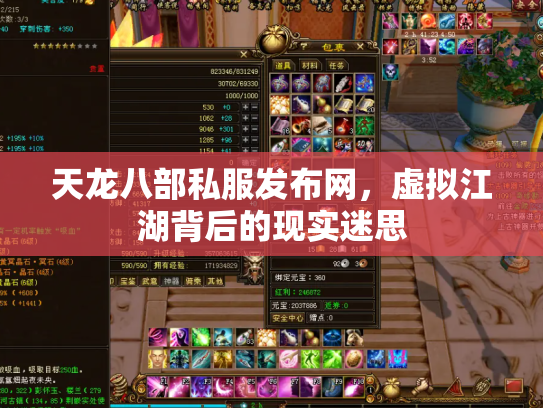 天龙八部私服发布网，虚拟江湖背后的现实迷思