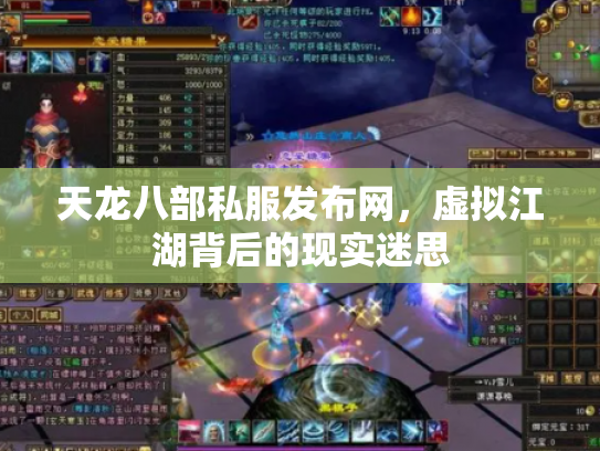 天龙八部私服发布网，虚拟江湖背后的现实迷思