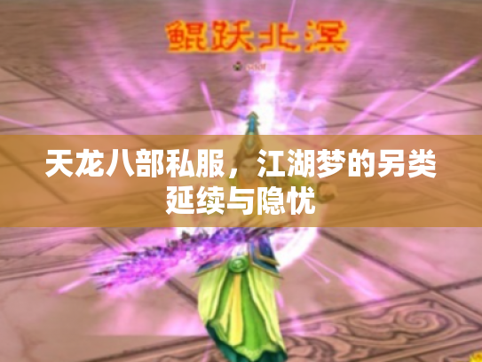 天龙八部私服，江湖梦的另类延续与隐忧