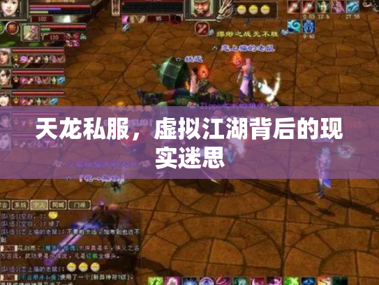 天龙私服，虚拟江湖背后的现实迷思