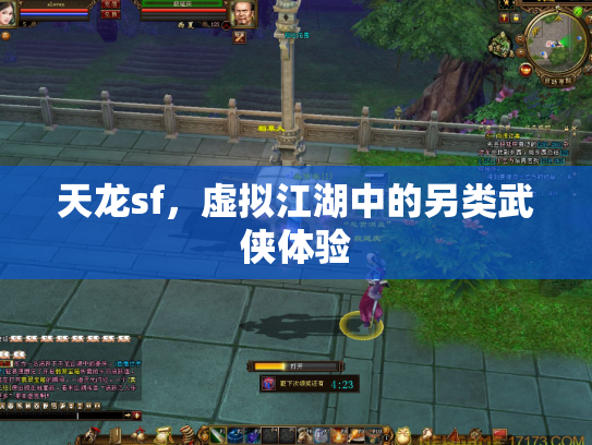 天龙sf，虚拟江湖中的另类武侠体验