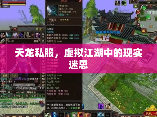 天龙私服，虚拟江湖中的现实迷思