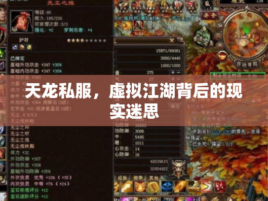 天龙私服，虚拟江湖背后的现实迷思