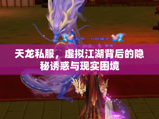 天龙私服，虚拟江湖背后的隐秘诱惑与现实困境