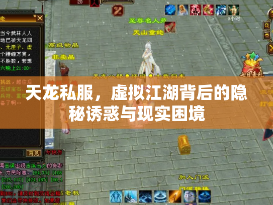 天龙私服，虚拟江湖背后的隐秘诱惑与现实困境