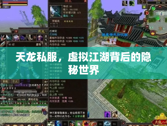天龙私服，虚拟江湖背后的隐秘世界