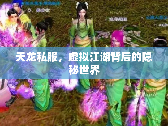 天龙私服，虚拟江湖背后的隐秘世界