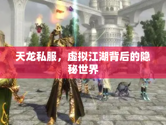 天龙私服，虚拟江湖背后的隐秘世界