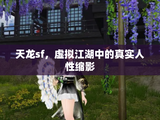 天龙sf，虚拟江湖中的真实人性缩影