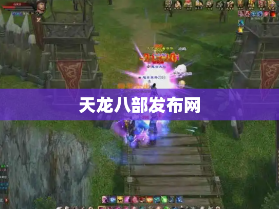天龙八部发布网
