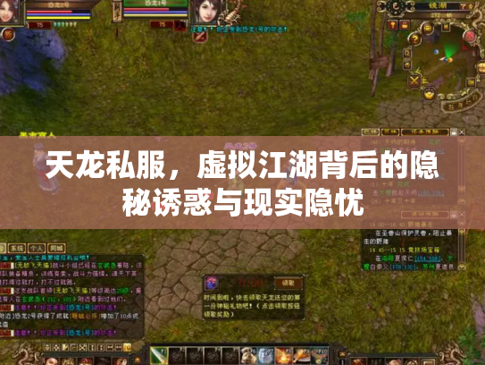 天龙私服，虚拟江湖背后的隐秘诱惑与现实隐忧