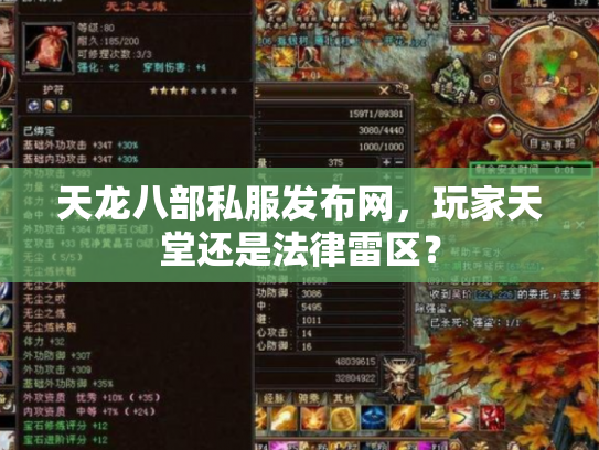 天龙八部私服发布网，玩家天堂还是法律雷区？
