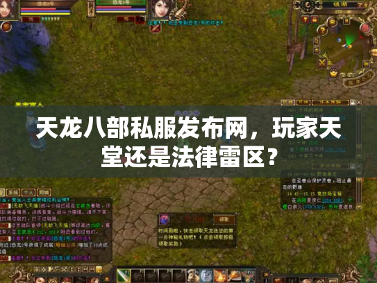天龙八部私服发布网，玩家天堂还是法律雷区？