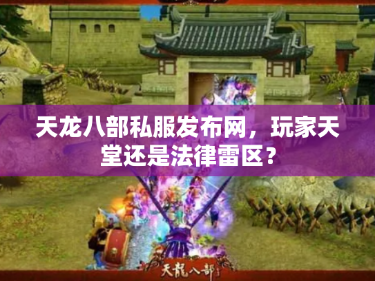 天龙八部私服发布网，玩家天堂还是法律雷区？