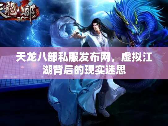 天龙八部私服发布网，虚拟江湖背后的现实迷思