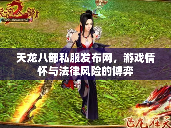 天龙八部私服发布网，游戏情怀与法律风险的博弈