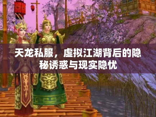 天龙私服，虚拟江湖背后的隐秘诱惑与现实隐忧